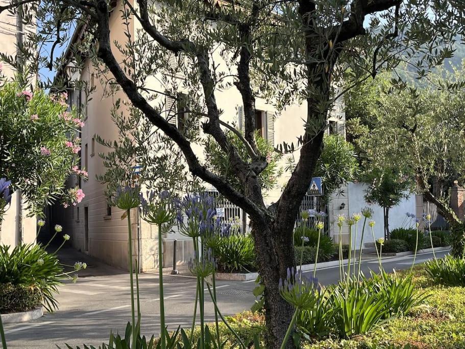 סאלו La Piccola Casa Al Lago - Intera Casa Con 3 Camere E 2 Box מראה חיצוני תמונה